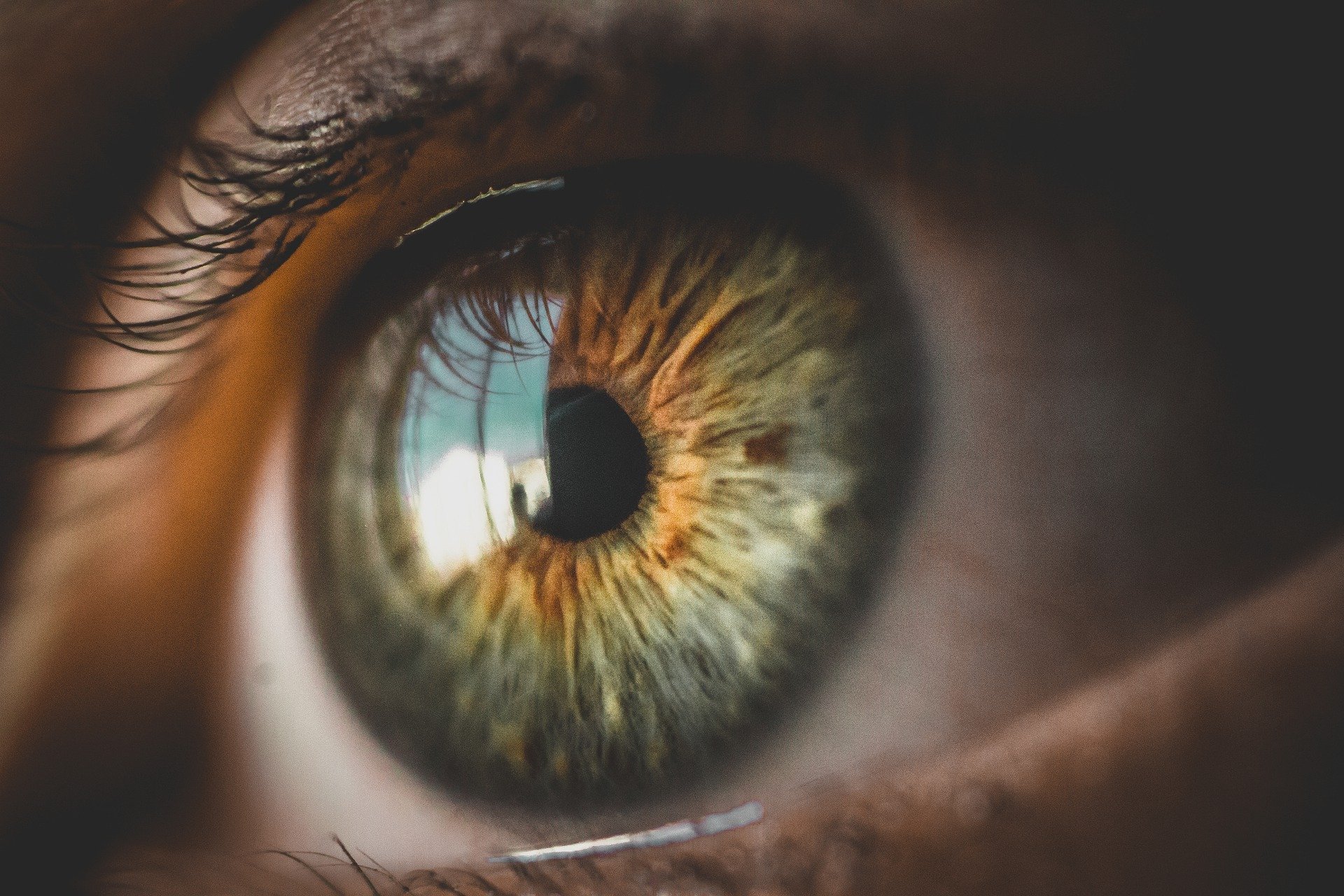 Large image of an eye relevant to the realisation of viewing a Running Shoe.